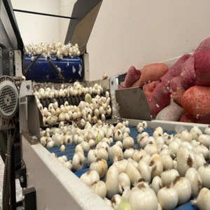 Automatic Onion Dehydration Plant Industrial Vegetable <b>Drying</b> Machine Stainless Steel Electric <b>Drying</b> <b>Equipment</b> Processing - Product Image 3