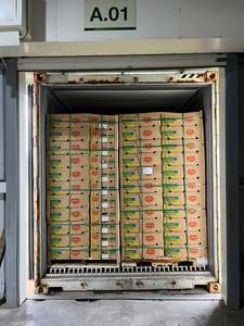เนื้อทุเรียนแช่แข็ง IQF บรรจุภัณฑ์สุญญากาศ จำหน่ายแบบขายส่ง - Product Image 4