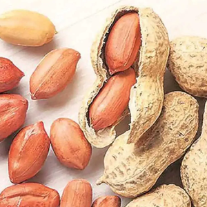 Cerneaux d'arachides bruts de qualité supérieure, arachides indiennes en vrac, vente en gros, prêts à être expédiés, livraison rapide - Product Image 1