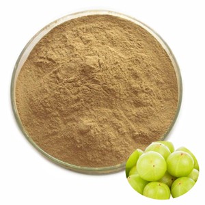 OEM Premium Amla Powder for Eating & Hair Growth Indian Gooseberry Superfood Powder for Immunity & Weight Loss At Cheap Price - Product Image 1
