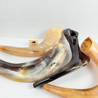 Shofar yéménite religieux artisanal poli de haute qualité, écoresponsable, en corne naturelle, pour la fête de Rosh Hashanah, casher et authentique