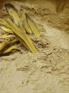 ผงรากชะเอมเทศพรีเมี่ยม-สมุนไพรธรรมชาติที่100% สะอาดและตากแดดสำหรับชาสมุนไพร/ - Product Image 6