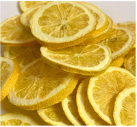 Tranches de citron acidulé lyophilisées SHUBHALAXMII FOOD INDUSTRY Fournisseur en gros d'agrumes de qualité supérieure pour l'exportation Durée de conservation de 2 ans Inde