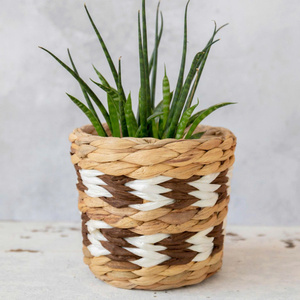 Pots de fleurs en gros, jardinières en jacinthe d'eau, paniers de haute qualité pour plantes - Product Image 2