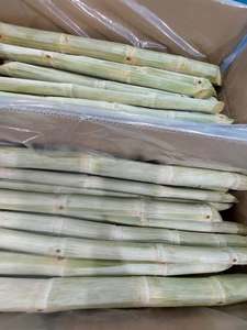 Bâtonnets de canne à sucre 100% naturels surgelés, origine Vietnam, qualité supérieure, qualité alimentaire, fournisseur en gros - Product Image 6