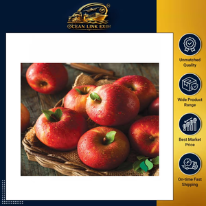 Fresh Red Apples High Quality Crisp Juicy Sweet Fruit for Wholesale Retail and Export Buyers Ocean Link Exim - Product Image 2