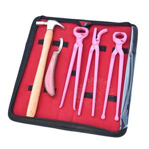 Kit de Herramientas Rosadas para Herrador con Cortaúñas para Cascos, Herramienta para Remover Clavos de Cascos, Cuchillo para Cascos Rainbow y Martillo para Clavar Clavos - Product Image 1
