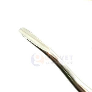 Elevadores Dentales Manuales Reutilizables de Acero Inoxidable Profesionales al por Mayor con Agarre Ergonómico - Product Image 6