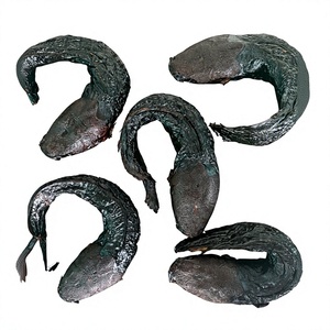 VAN BACH TUNG Premium 100% Naturel Poisson-chat Entier Fumé Riche en Protéines Aliment Sain Salé Emballage Sous Vide BQF Boîte 12+ Mois - Product Image 3