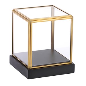 Vitrine de terrarium en bois de manguier avec façade en verre - Décoration artisanale en gros - Product Image 2