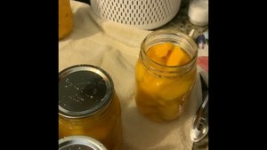 Mangues en conserve prêtes à consommer, 100% mangue, qualité supérieure, export en gros, marque Viet Delta, durée de conservation de 24 mois - Product Image 6