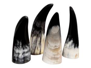 Ventouse en corne de vache naturelle de qualité supérieure pour la thérapie Hijama, traitement traditionnel Hijama, ventouse en corne de vache faite à la main, usine OEM - Product Image 1