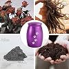 Pet Urn Teardrop Shape Stainless Steel Airtight <b>Dog</b> Memorial - Product Image 6