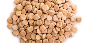ถั่วลูปีนแห้งเกรดพรีเมียม คัดพิเศษ ขนาดเล็ก 10 กก. ตากแดด โปรตีนสูง - Product Image 3