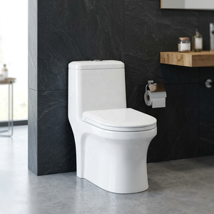 WC monobloc en céramique moderne de luxe avec chasse d'eau double, design écologique, couleur blanche, fixation au sol, chaise de toilette sanitaire - Product Image 3