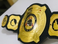 Cinturones de Campeonato Personalizables para Equipos Juveniles, MMA, Taekwondo, Boxeo, Karate, Unisex, 1.5M de Largo, Forro de Piel Sintética