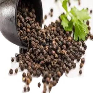 BLACK PEPPER 550 GL MC/FAQ BULK HIGH QUALITY BEST PRICE +84359313086