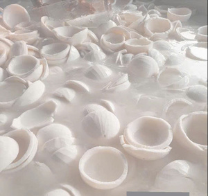 Iqf เนื้อมะพร้าวแช่แข็งเนื้อมะพร้าวธรรมชาติผลิตจากโรงงานในเวียดนาม - Product Image 4