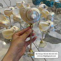 Copa de Vino con Forma de Concha, Copa de Cóctel Única, Reutilizable, Ecológica, para Bodas en la Playa, Idea de Regalo, Natural WS 84365635475