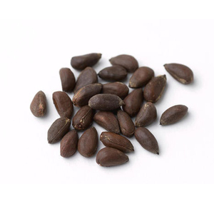 Wholesale Bulk Supply Excellent Quality Cotton Seeds for Sale at Lowest Market Pricing from Genuine India-Origin Vendor
