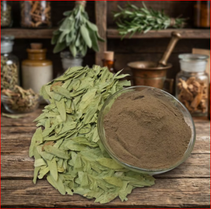 Extracto de Senna 20%, Extracto de Hoja de Cassia Angustifolia en Polvo, Extracto de Planta Herbal para Venta al Por Mayor - Product Image 5