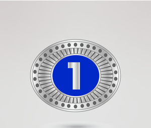 Ceinture de championnat de lutte en cuir avec design de texte bleu argenté, style champion du monde, quatre plaques latérales personnalisables - Product Image 3