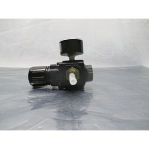 Régulateur d'air Speedaire 4ZM15, manomètre ABS, 300 - Équipement et pièces semi-conductrices de confiance au niveau mondial chez - Product Image 6