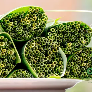 Accessoires de Bar en paille d'herbe biodégradable avec des pailles à roseaux écologiques 100% faites à la main