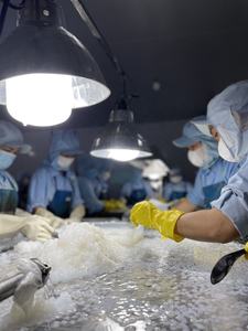 Gelée de noix de coco tropicale douce du fleuve Mékong, cubes de cristal premium - Product Image 3