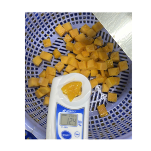 มะม่วงแช่แข็งแบบชิ้น เวียดนาม รสหวานธรรมชาติ สำหรับแบรนด์อาหารเพื่อสุขภาพ - Product Image 6