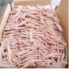 Muslos de Pollo Halal LQF Congelados, Cuartos de Pollo, Cuerpo de Pollo en Empaque a Granel, Alta Calidad, Grado Caffeinated, 24 Meses de Vida Útil, Precio Económico - Product Image 3