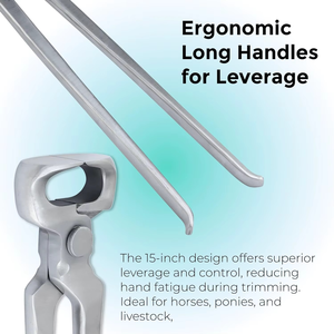 Pince à sabots vétérinaire en acier inoxydable pour chevaux, outils de soin des sabots d'animaux durables, outils de fermeur de haute qualité, tailles personnalisées - Product Image 5