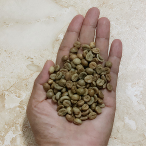 CAFÉ Torréfié ROBUSTA Miel du Vietnam Usine 0,5 Kg Arôme Riche Chocolat Doux Fruits Sans Sucre Livraison Rapide Prêt à l'Exportation - Product Image 2