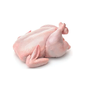 Pollo Entero Congelado Fresco - 100% Halal, Calidad de Exportación - Product Image 6