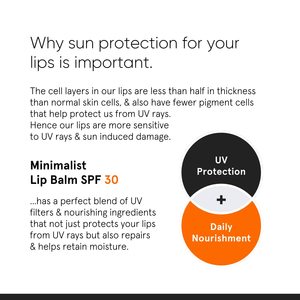 Baume à lèvres minimaliste SPF 30 avec acide hyaluronique |   Protection et soin des lèvres |   Pour femmes et hommes |   8g - Product Image 5