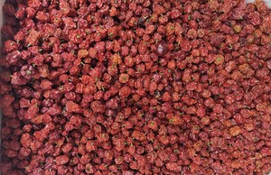 Piment Naga Mircha indien séché ultra piquant Bhut Jolokia en vrac avec une valeur SHU >1000000 pour les sauces piquantes, les assaisonnements et les marinades - Product Image 3