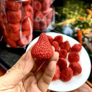 สตรอว์เบอร์รีฟรีซดรายแท้ วัตถุดิบผลไม้ธรรมชาติจากเวียดนาม สำหรับการผลิตขนมหวาน วัตถุดิบทำขนม และการแปรรูปอาหาร - Product Image 1