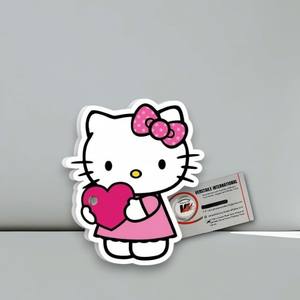Placas de Pestañas Personalizadas con Diseño de Corazón, Flor y Hello Kitty, Marca Privada, Extensión de Pestañas, Acrílicas, Magnéticas - Product Image 1