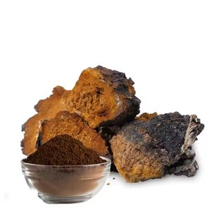 Polvo de Hongo Chaga a Granel, Extracto Herbal Orgánico, Inonotus Obliquus, Superalimento en Polvo para Uso Nutracéutico y en Suplementos - Product Image 1