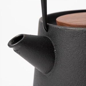 Théière Nambu Tekki "tetu", fabriquée au JAPON, théière en fonte, revêtement émaillé intérieur, avec passoire à thé en acier inoxydable - Product Image 5