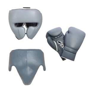 Ensemble de boxe professionnel de haute qualité, neuf, sur mesure, en cuir PU, pour l'entraînement et le sparring, unisexe - Product Image 1