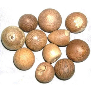 Noci di <span class=keywords><strong>Betel</strong></span> di Qualità Premium all'Ingrosso a Prezzi Convenienti, 100% Biologiche e Naturali, Esportate dal Bangladesh - Product Image 6