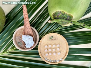 Nguyên liệu NATA de Coco cho quy mô lớn chế biến tươi dừa Gel cho trà bong bóng toppings nước trái cây và món tráng miệng thực vật - Product Image 4