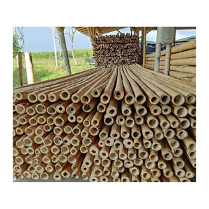 Piquet en bambou très demandé pour la stabilisation des arbres hauts et la construction de structures robustes – Qualité supérieure, meilleur prix, en stock - Product Image 3