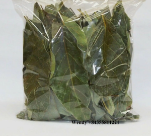 Vente en gros d'extrait de feuilles d'avocat 100% pur et biologique, qualité A, marque Viet DELTA, directement du fabricant, en vente - Product Image 6