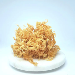 Mousse de mer dorée séchée de haute qualité, conçue pour l'énergie et la désintoxication, style de vie sain, emballage en vrac de superaliments - Product Image 6