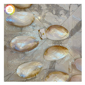 Pendentif Coquillage Nacre Naturel Poli, Disque de Coquillage, Breloque Perles Noires, pour Fabrication de Boucles d'Oreilles, Colliers, Bijoux DIY, Fourniture d'Exportation - Product Image 4