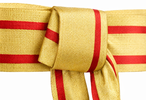 Royal Ceremonial <b>Red</b> and Gold Waist Sash for Formal Uniform Dress Belt for Parade Events and Special Ceremonial Wear - Product Image 4
