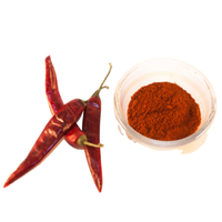 Poudre de piment rouge séché, naturel, non transformé, sans additifs, fabrication sous contrat, emballage personnalisé, Inde