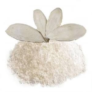 Huesos de sepia secos de tamaño gigante para uso multiindustrial/Sra. Katty - Product Image 6